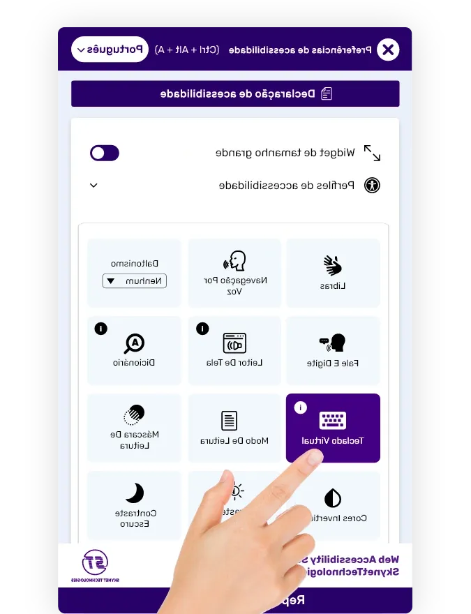 Portuguese website accessibility solution