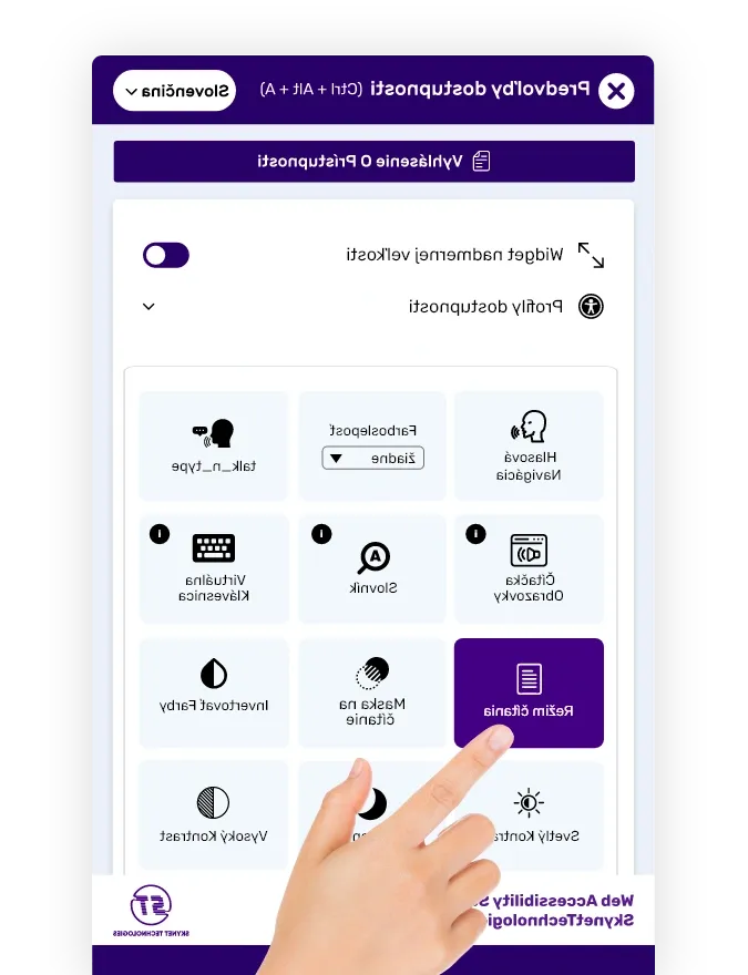 Slovak website accessibility solution